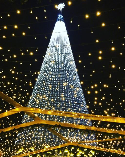 Let your light shine💫 christmascountdown  christmastree  christmasmood ... (جونية - Jounieh)