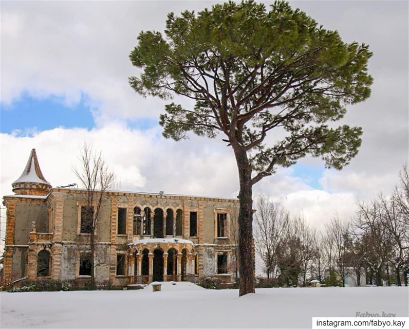 ================================ libanon sawfar snowday house tree... (Donna Maria Sursock Gardens)