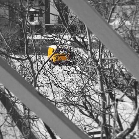 Little yellow van. mayrouba  snow  van  yellow  lebanon  livelovelebanon ... (Mayrouba)