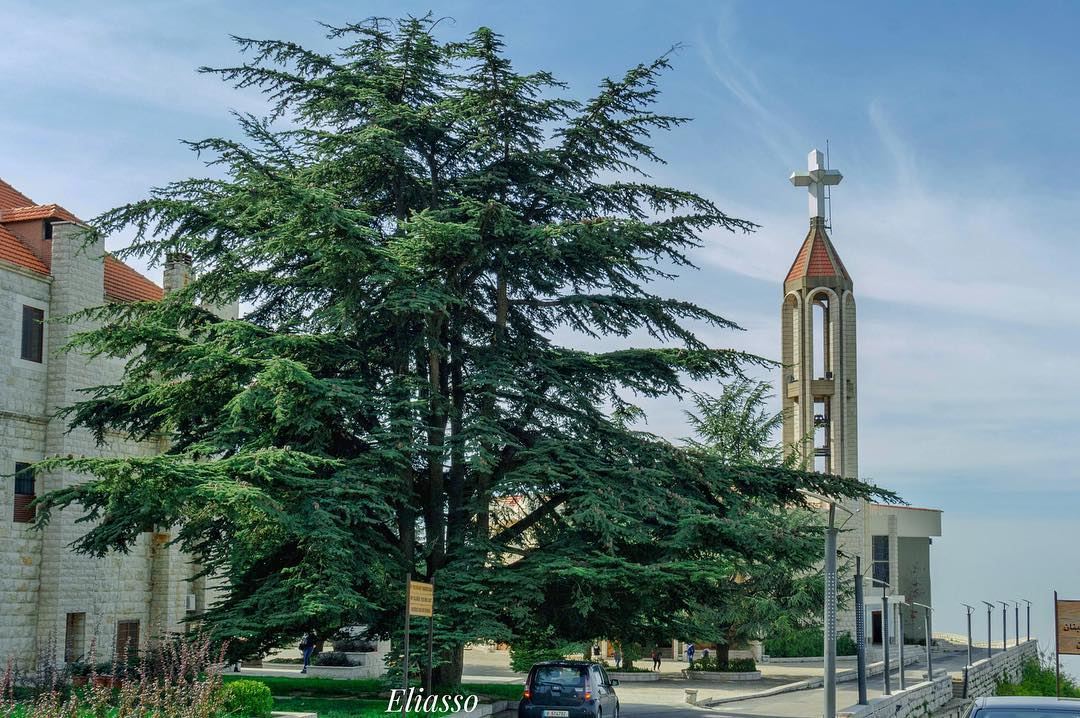 .–––––––––––––––––––––––––––––––––––Location:   Annaya  Lebanon––––––––– (St Charbel Church & Shrine, Annaya)