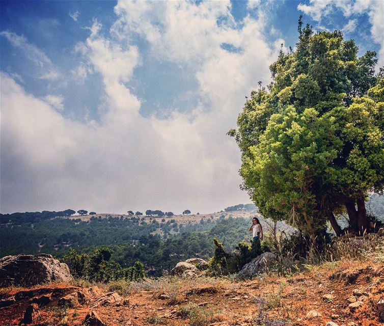 Location: Wadi Oudine, Akkar, Lebanon Date: 18-06-2017Instagram : @jadma (Oudine Valley)