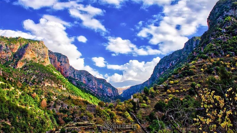 Look deep into nature, and then you will understand everything better. ...... (Wadi Qannubin, Liban-Nord, Lebanon)