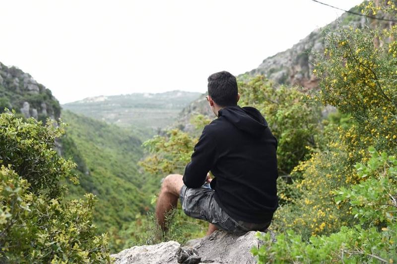 Look deep into nature, and then you will understand everything better⛰... (Koura)