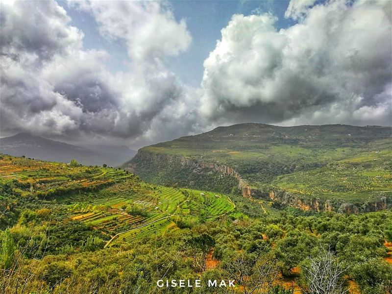 Lost between bloomy and gloomy. landscape  landscapephotography  mountain... (Lebanon)