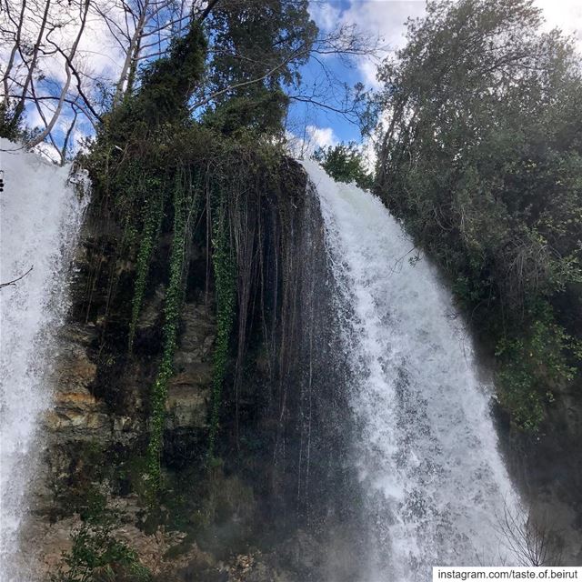 Lots of snow, abundant springs.  snowstorms  waterfalls  lebanese ... (Shallalat Nabeh Merched)
