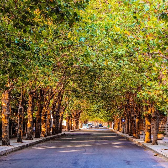 Love this street ...  lebanon  lebanon_hdr  ig_lebanon  insta_lebanon ... (Sawfar, Mont-Liban, Lebanon)