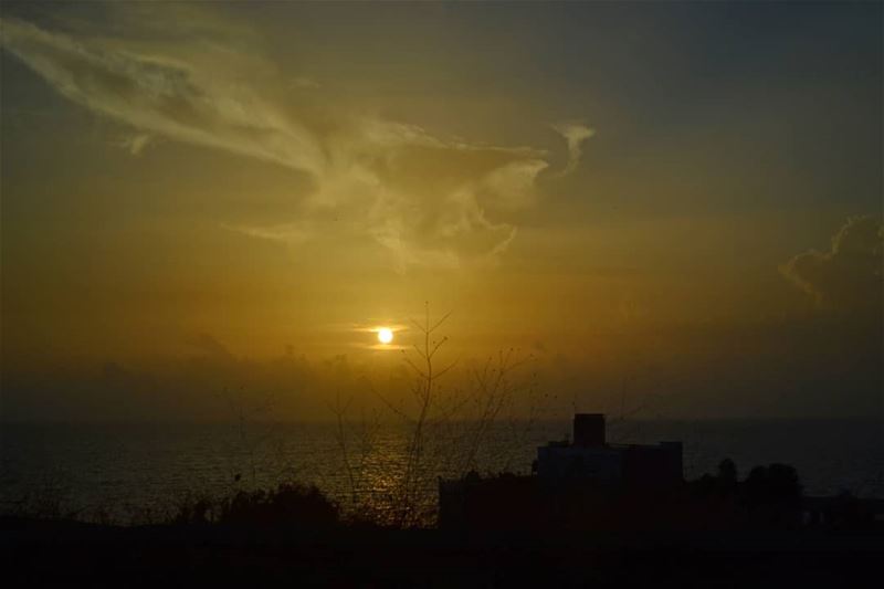Low exposure sunset shot while the car was moving  beirut lebanon... (Lebanon)
