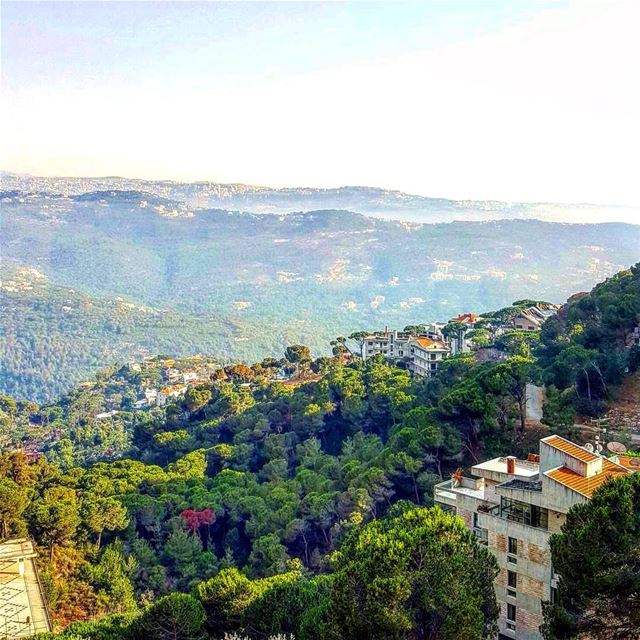 Makes me wanna fly 🌲🌲 .... Lebanon  metn  mountlebanon  mountains ...
