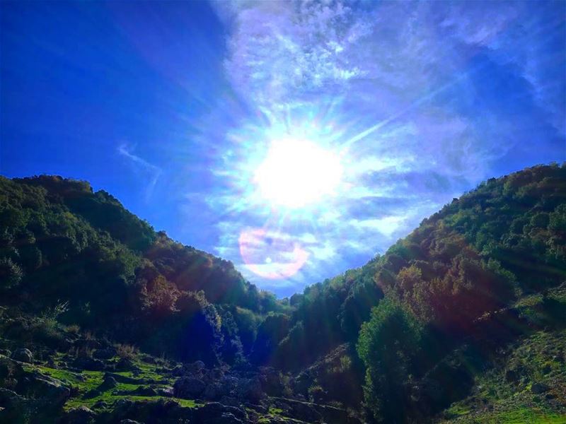 May your days always be as bright as this sun, and as beautiful as these... (Bazbîna, Liban-Nord, Lebanon)