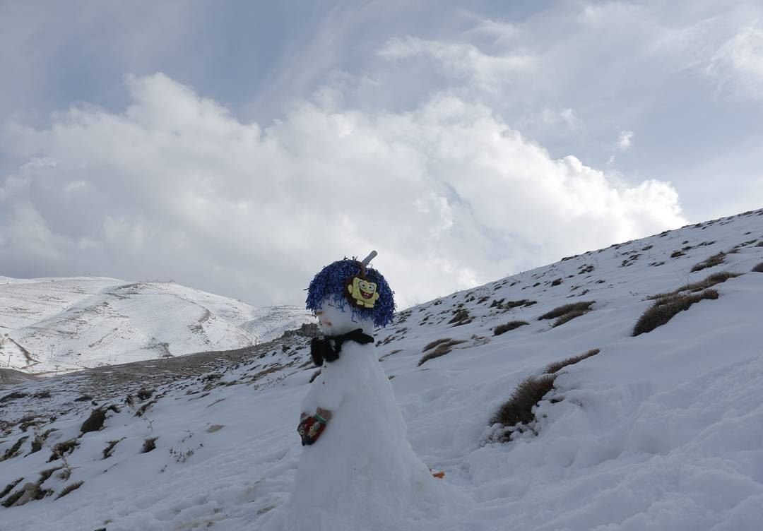 Meet Mr. Curly Hair... The very first snowman of the Lebanese winter... (Kfardebian,Mount Lebanon,Lebanon)