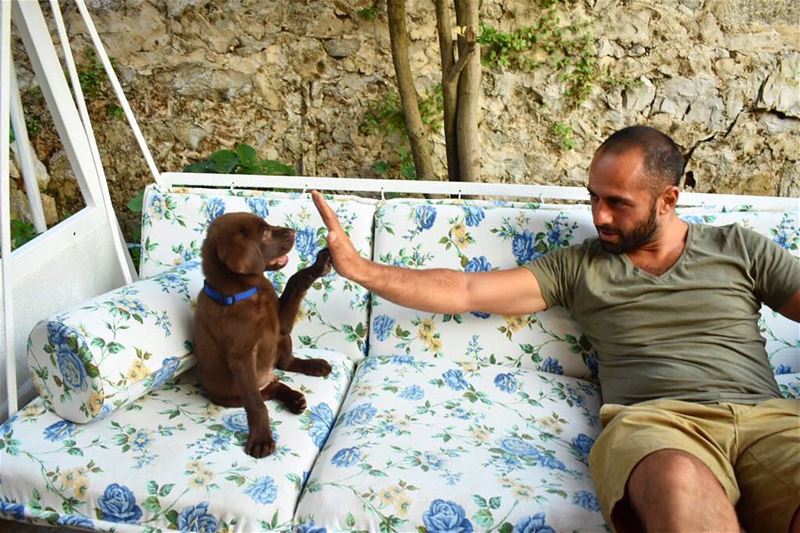 Meet Pablo 🐶.. dogs  dogs_of_instagram  livelovelebanon ... (Farideh - فريدة)