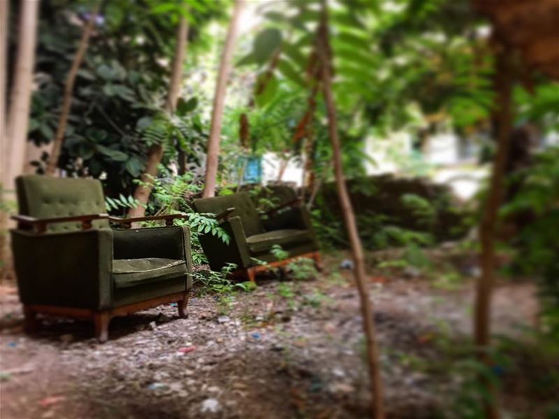 Memories of a hidden backyard garden.. "You have to look with your heart... (Beirut, Lebanon)