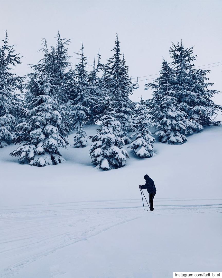⛷ 📸 @mikhaelbitar... snow  snowhite  Lebanon  mountains  nature ... (Mzaar Ski Resort Kfardebian)