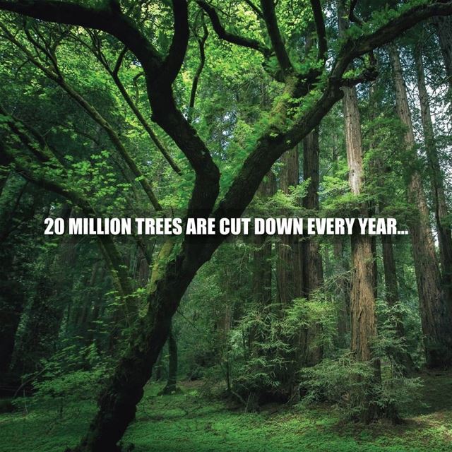 Millions of trees are cut down every year for the convenience of paper...