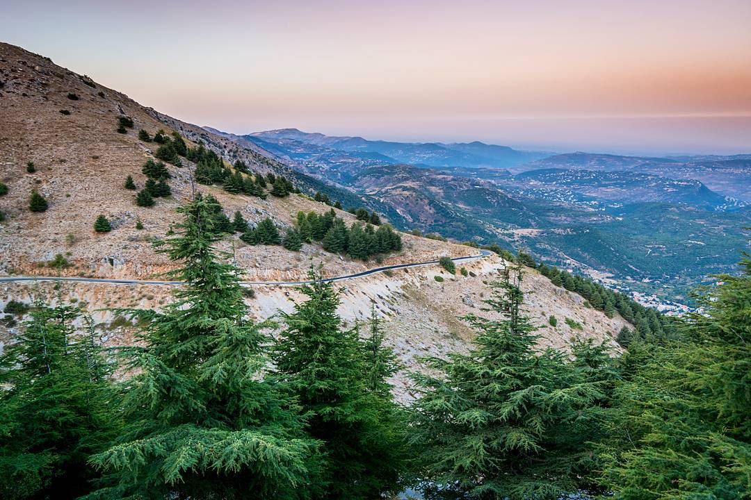 Moments before the sunrise high on the mountains💛💚. Best chill time ever... (Bâroûk, Mont-Liban, Lebanon)