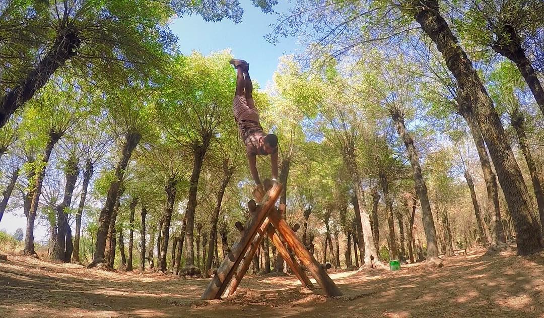 Monkey-ing around 🐒 🐒 fun  handstand  gonewrong  fun  monkey ... (لبنان تعنايل)
