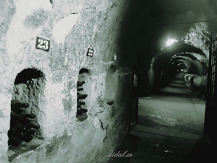 monochrome winery cave naturalcave (Château Ksara)