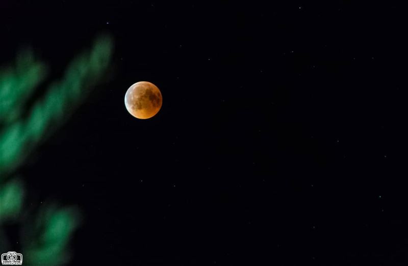 moon eclipse from houmine al fawka  moon  bloodmoon  blood  eclipse ...