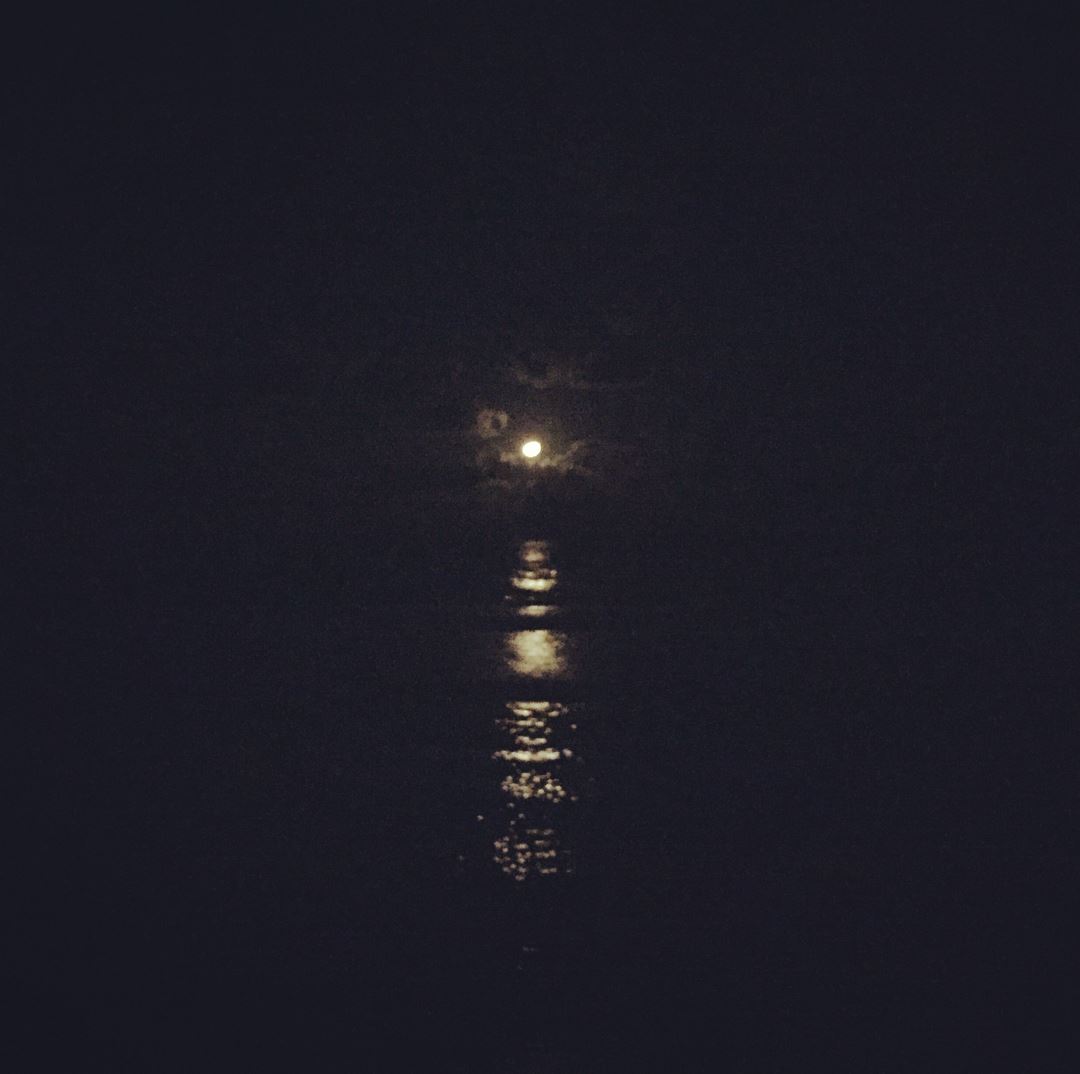  moon  moonlight  instagram  instaphoto  instapicture  photography ...