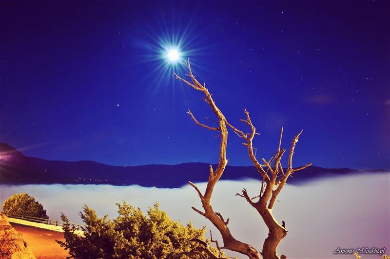Moonlight drowns out all but the brightest stars. ”J.R.R. Tolkien” ehden ... (Ehdène, Liban-Nord, Lebanon)