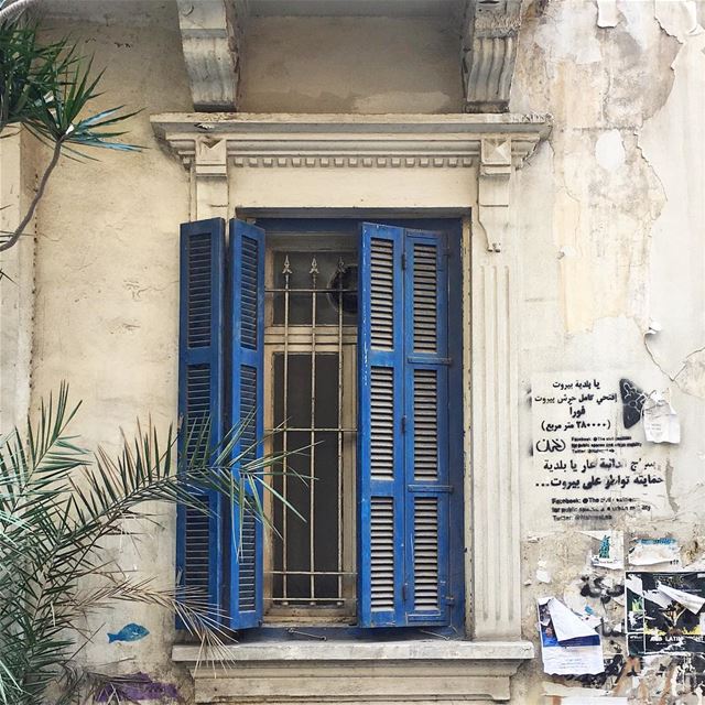morning blues 🌿 (Beirut, Lebanon)