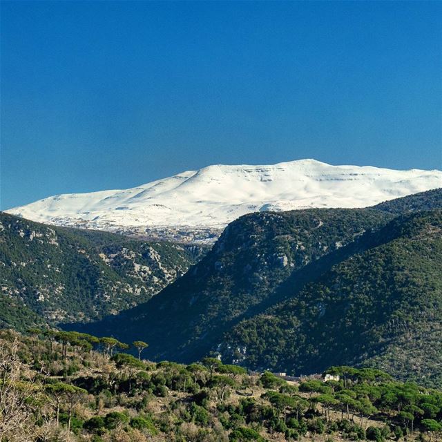 Mount Knaiseh stands in the middle of Mount-Lebanon, splitting it into...