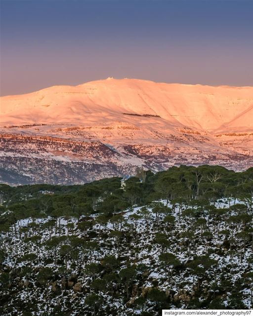 Mount Sannine at the Golden hour, showing Mzaar top peak and beautiful... (Mount Sannine)