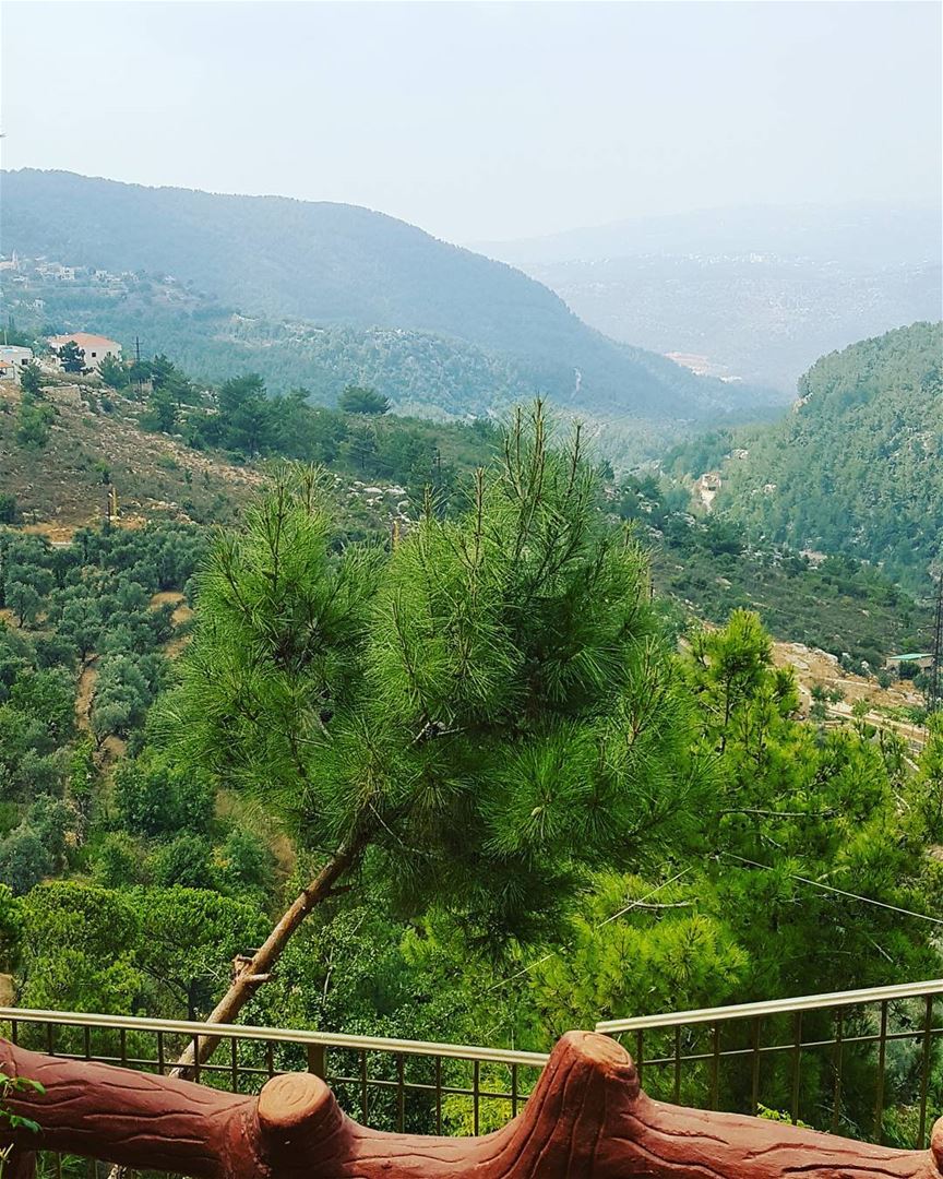 My  beautiful  lebanon  jezzine  view  green  everywhere  pine  weekend ... (Jezzine District)