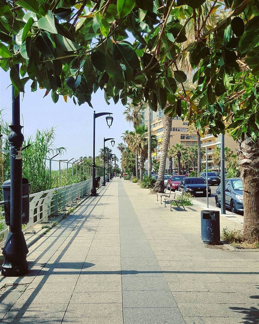 My Beirut running trail..⏩👟⏩By @truewealth_manal_tamim  CornicheBeirut ... (Cornish Rouché - Beirut)