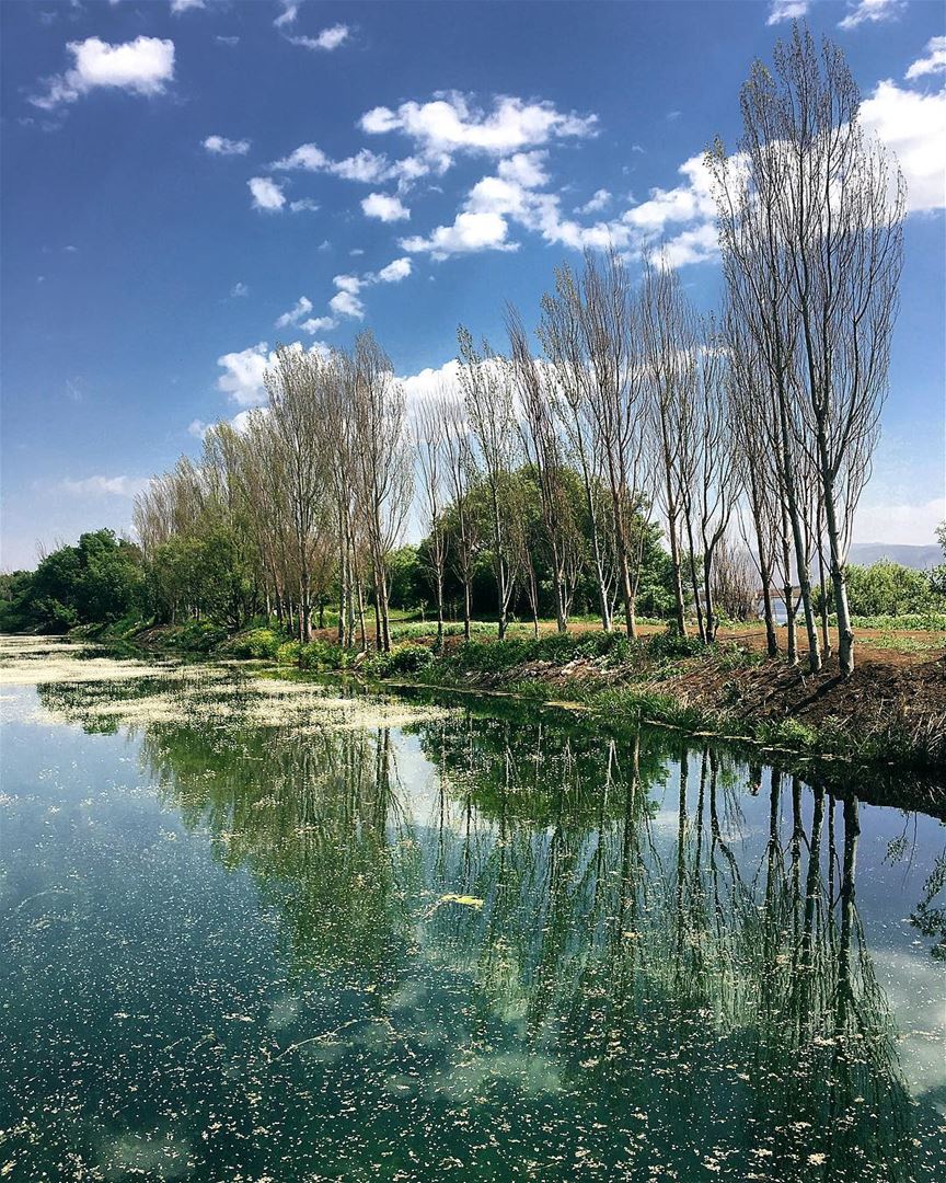 • my escape • lake  reserve  ammiq  wetland  sky  nature  outdoor ... (`Ammiq, Béqaa, Lebanon)