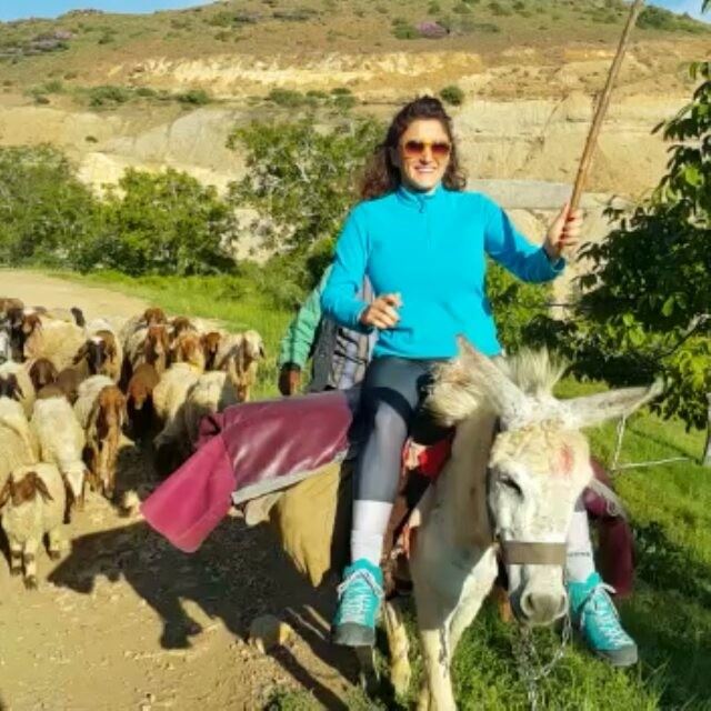 My first Donkey riding lesson was perfect 😂😂change of career:a... (Mount Sannine)