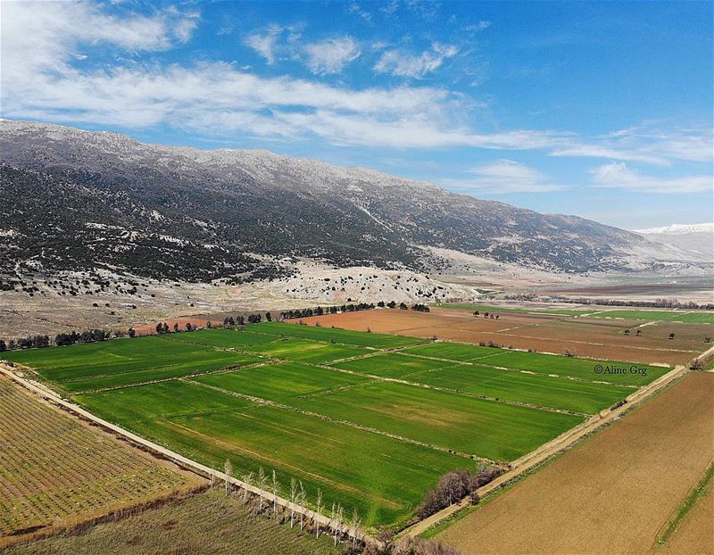 • My Green Carpet • 🏞 drone  mavicair  aerialphotography  nature ... (West Bekaa)