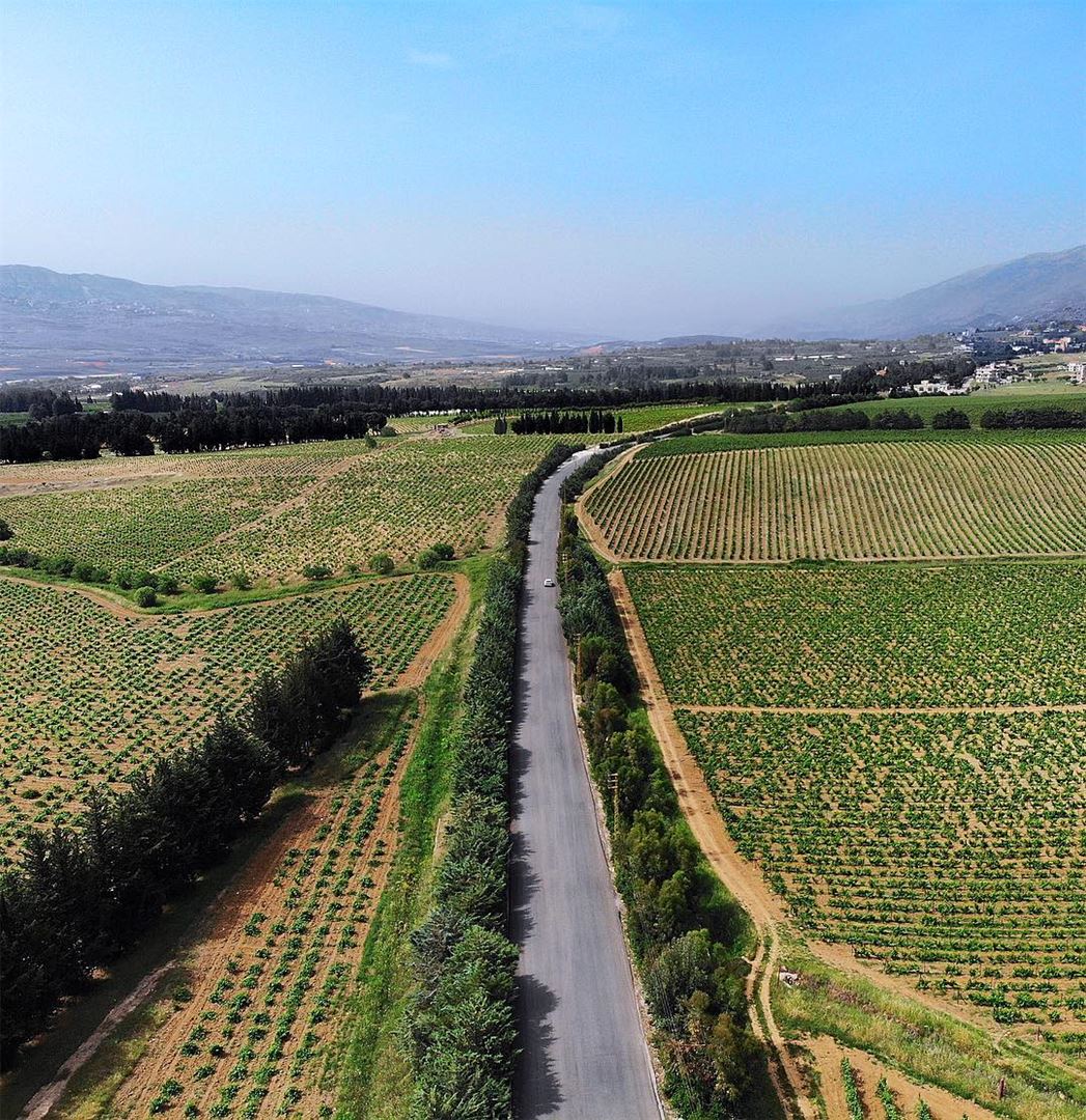 • My Happy Road • 🎈 luna_drone  mavicair  mavic  drone ... (West Bekaa)
