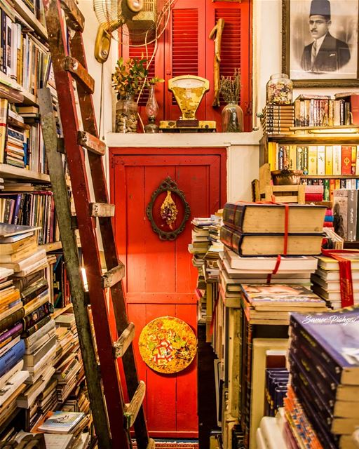 "My library is an archive of longings."@halabibookshop awakes your... (Halabi Bookshop)