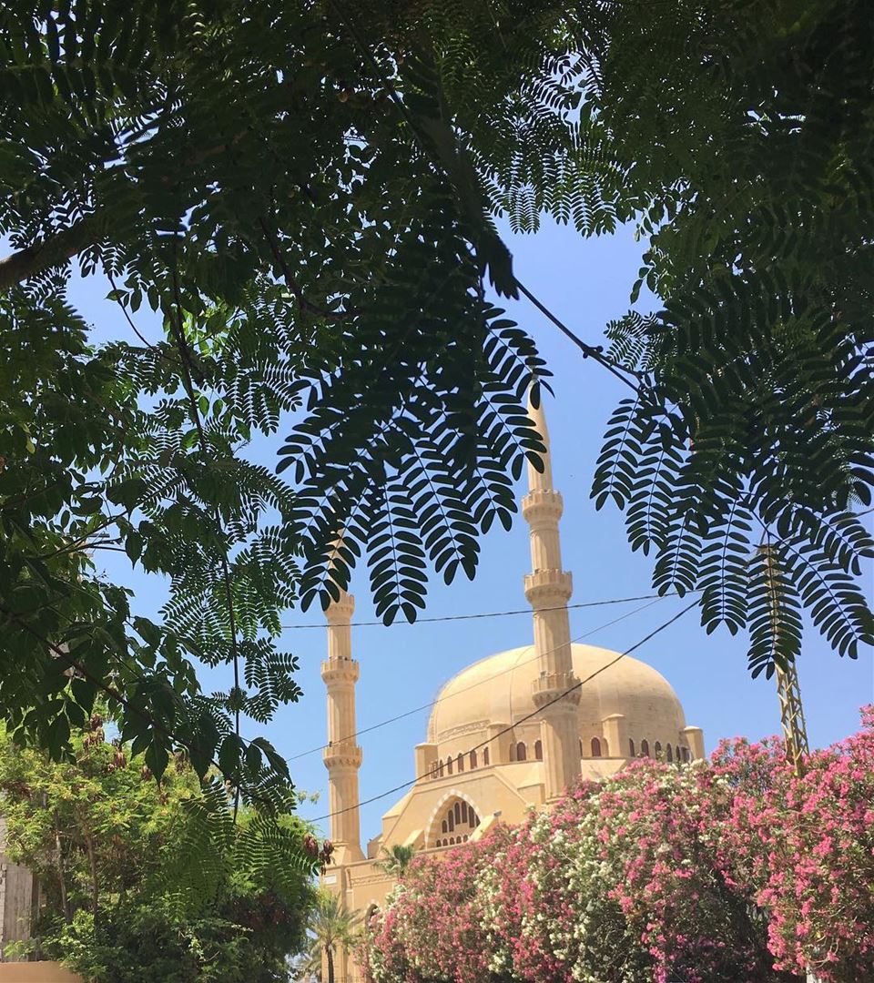  myhometown  mycity  mysaida  saida  saidabyalocal  visitsaida ... (Al Hariri mosque)