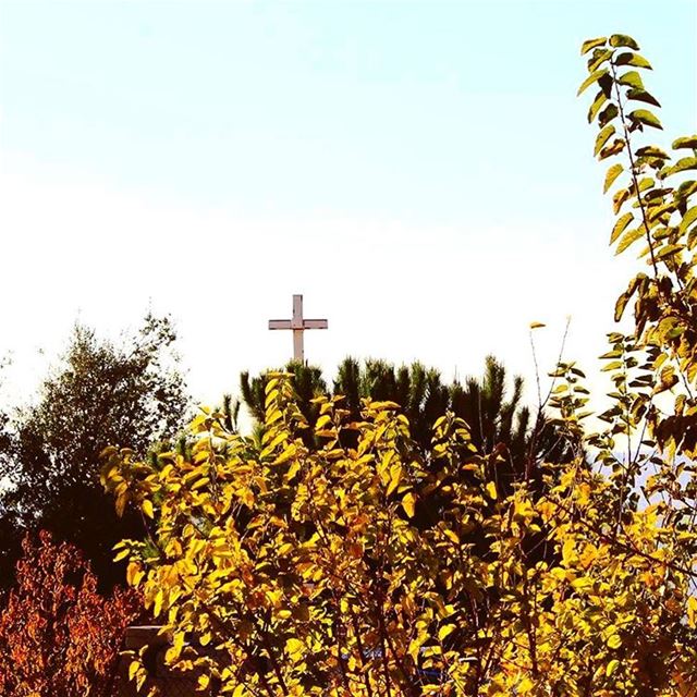  nature  autumn  trees  colors  leaves  Cross  Church  sky  cold ...