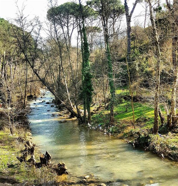 Nature better than therapy 💚🏞 mysamsungtime  igers  igerlebanon ... (Ra'S Al Matn, Mont-Liban, Lebanon)