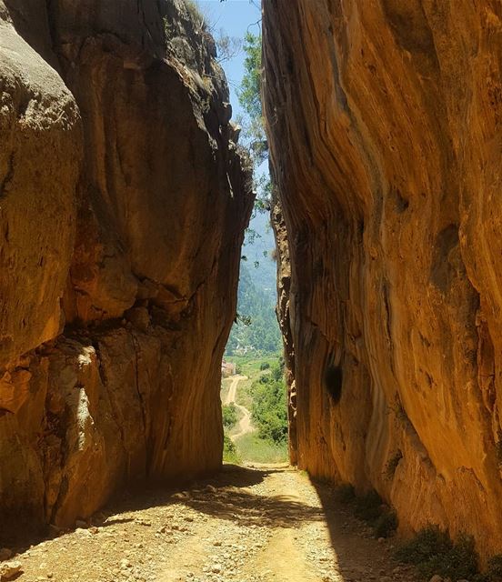  nature fizr  naturephotography hiking hikingday hikingadventures ... (Kafr Mattá, Mont-Liban, Lebanon)