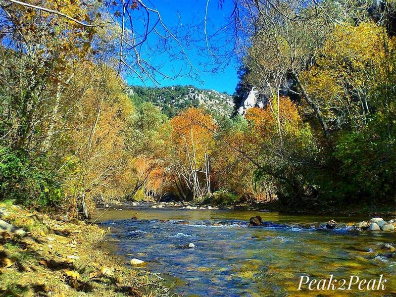 Nature is the art of GOD. 🍁🌎@leczenatti... hiking  hike  mountains ... (Nahr Adh Dhahab, Mont-Liban, Lebanon)