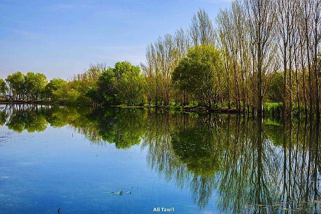  nature  reflection  beautiful  instagram  photodaily  phototips ... (West Bekaa)