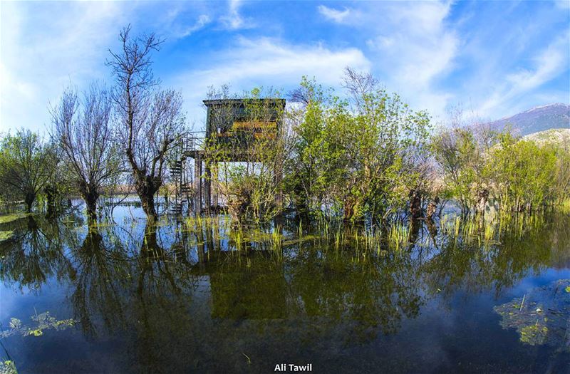  nature  wetlands  nikon  d810  phototips  fisheye  reflection  beautiful ... (`Ammiq, Béqaa, Lebanon)