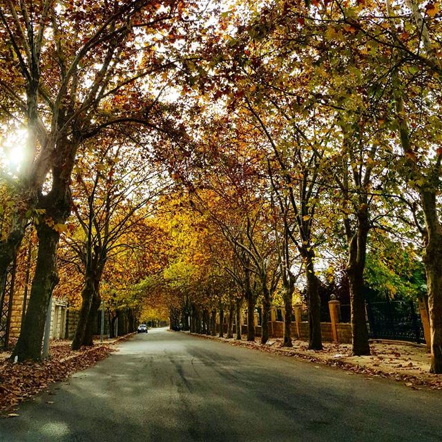  naturephotography  naturelovers  colorful  autumn  roadtrip ... (Sawfar, Mont-Liban, Lebanon)