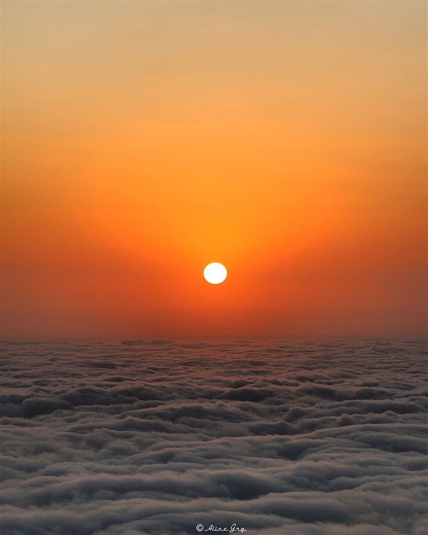 Near to Heaven .. 🌅 sunset  above  theclouds  cottoncandy  sunsetlover ... (Al Shouf Cedar Nature Reserve)
