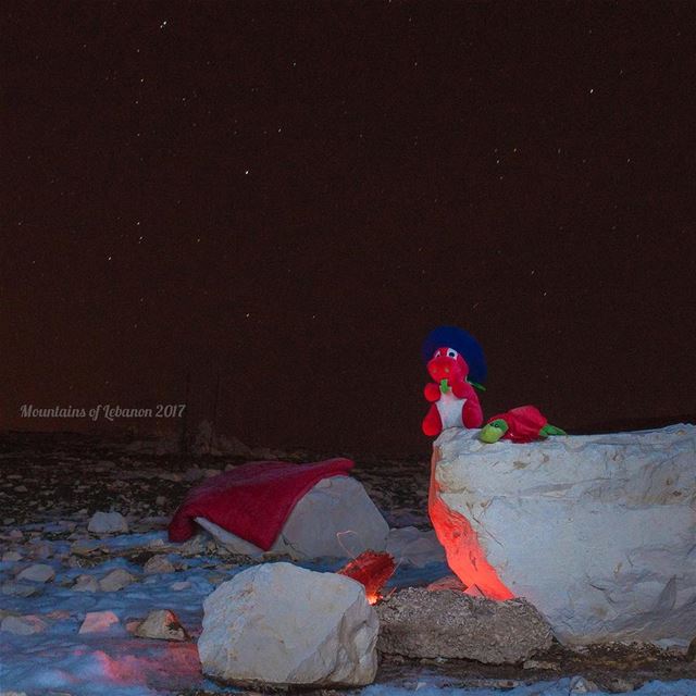 Ness & Griff keeping Warm near a fire enjoying the Geminid Meteor Shower,... (Wardeh Kfardebian)