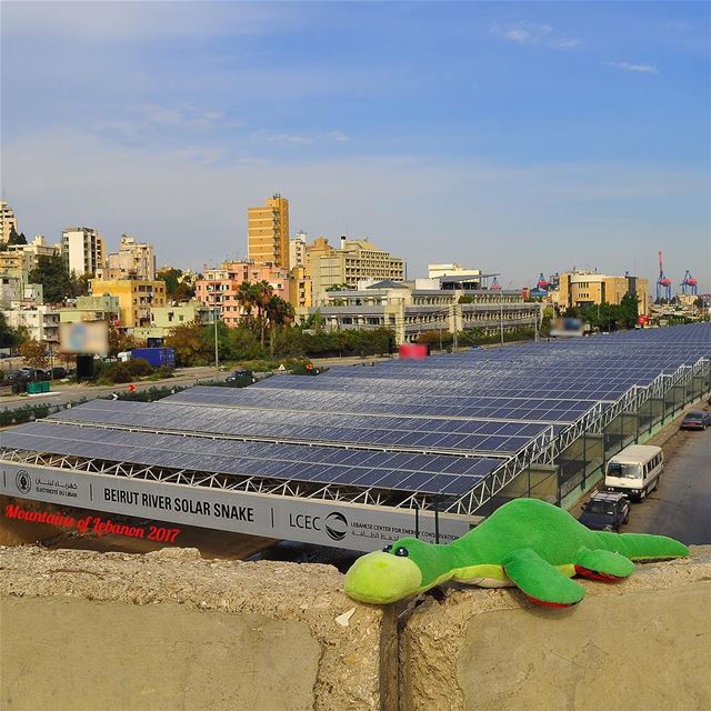 Ness was excited to see the Beirut River Solar Snake!An Ambitious project... (Beirut, Lebanon)