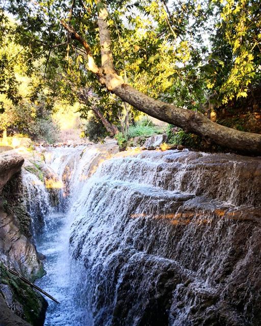  NeverStopExploring  Waterfall  River  Bkarezla  Akkar  Lebanon... (شلالات بقرزلا)