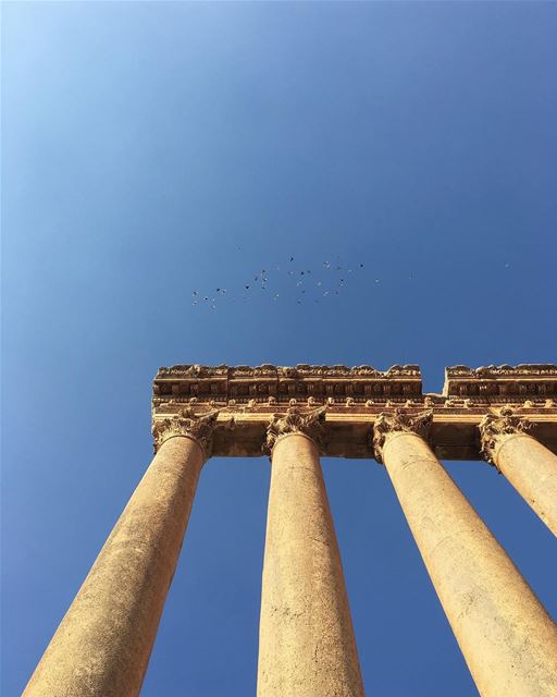 New day, new city. We found back @drowster in Baalbek and we visited the... (Baalbek Temple)