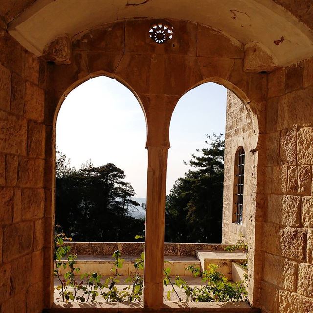 Nice spot for stretching then tea or coffee with a bite.  castle  chouf ... (Beiteddine Palace)