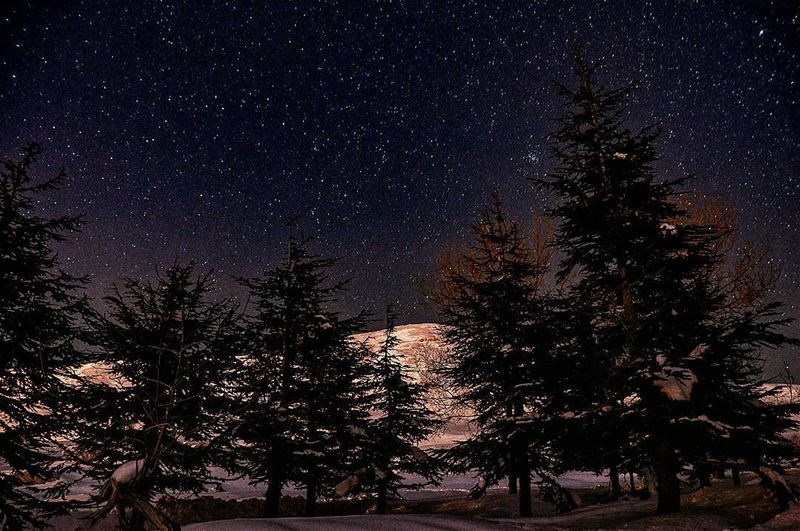  night nighthike nightphoto nightphotography snow forest nature... (Bakich)