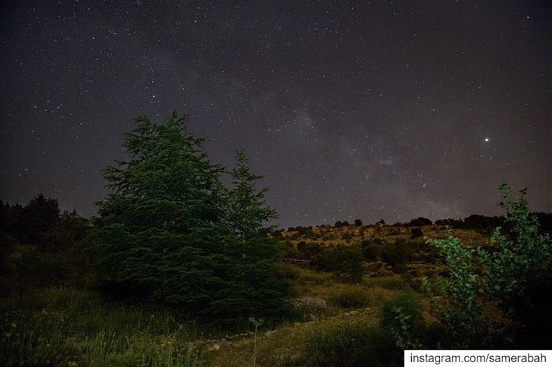 ......... nightphotography  astrophotography  milkyway ... (Cedars Ground Campsite)